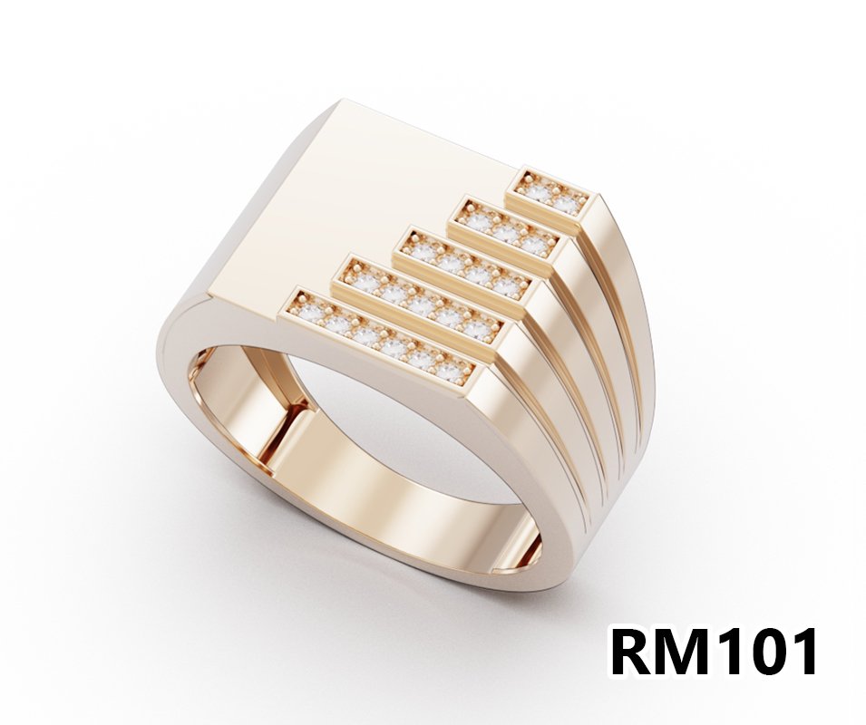 RM101 RM 101 - Görsel 1